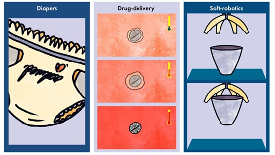 microgel particles